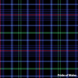 Welsh Cilts Available